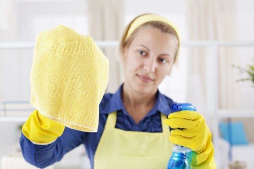 Professional sofa cleaning in a Barbican home