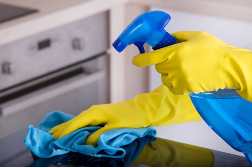 Deep cleaning upholstery after pet accidents