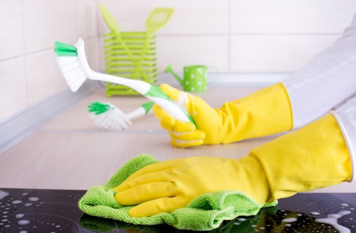 Professional pet stain treatment in a Barbican home