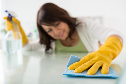 Final paragraph image representing legal terms for carpet cleaning services