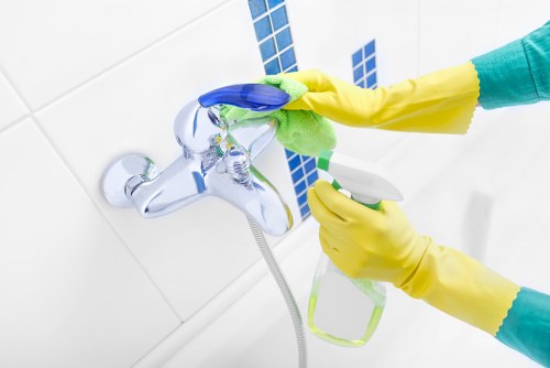 Sustainable carpet cleaning service operating in central London
